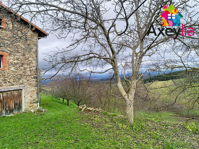 Maison - 288 m² - 10 pièces