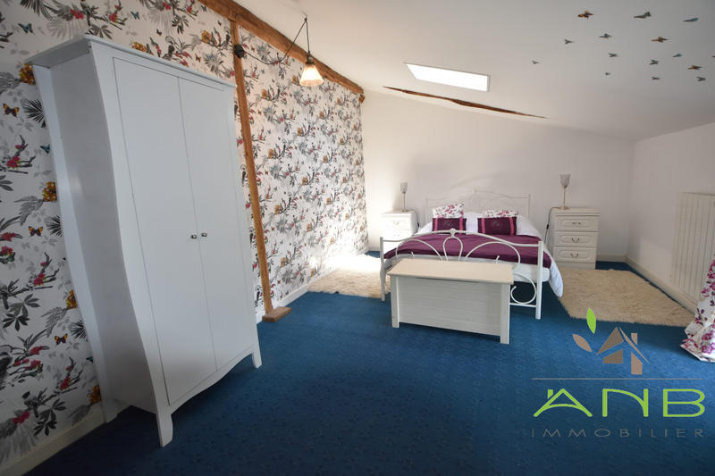 Maison ancienne - 300 m² - 10 pièces