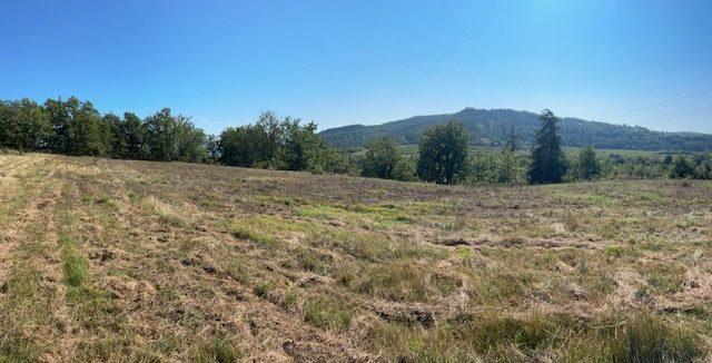 Terrain agricole - 9 592 m²