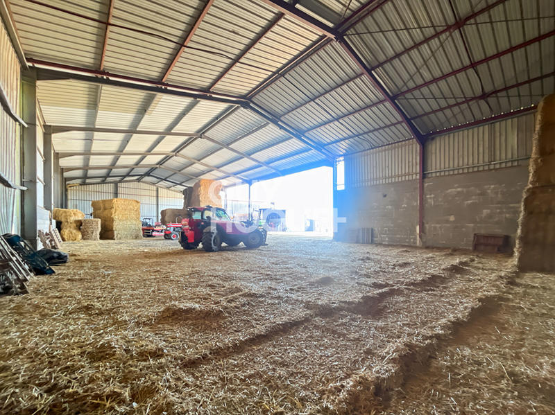 Entrepôt - 2 211 m² - 6 pièces