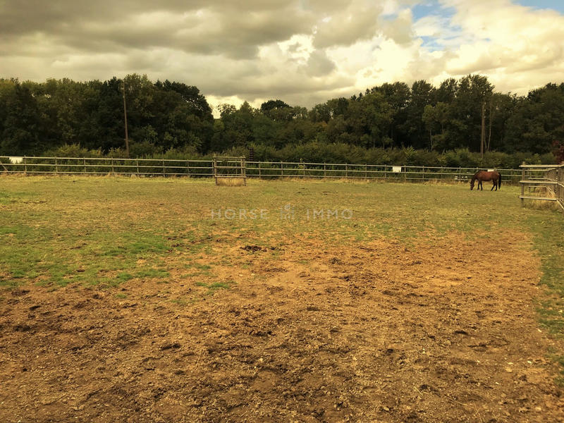 Maison - 470 m² - 12 pièces