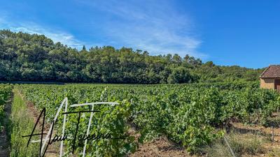 Terrain agricole - 33 300 m²