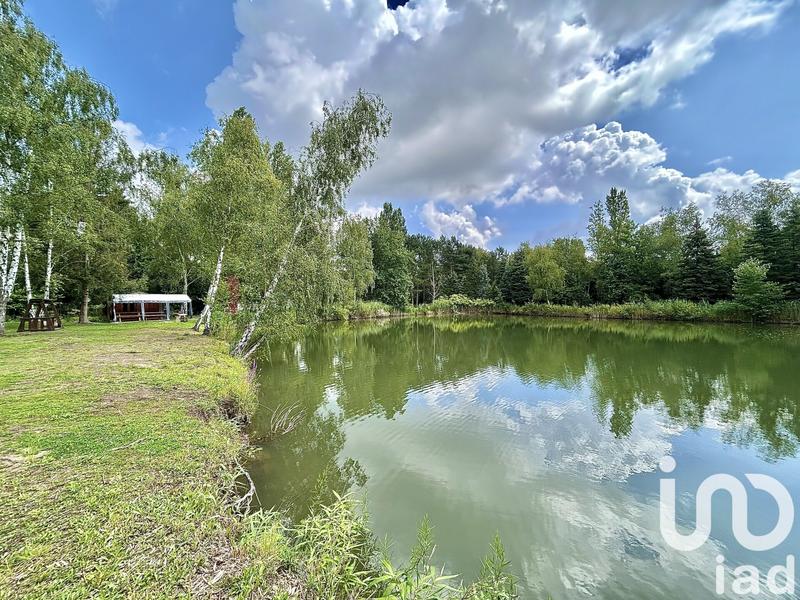 Terrain - 10 393 m²