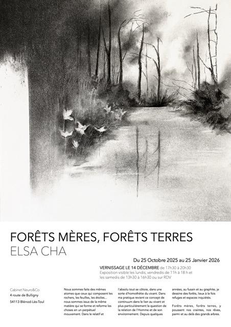 Forêt mères, forêts terres