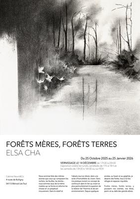 Forêt mères, forêts terres
