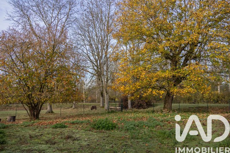 Maison de campagne - 247 m² - 8 pièces