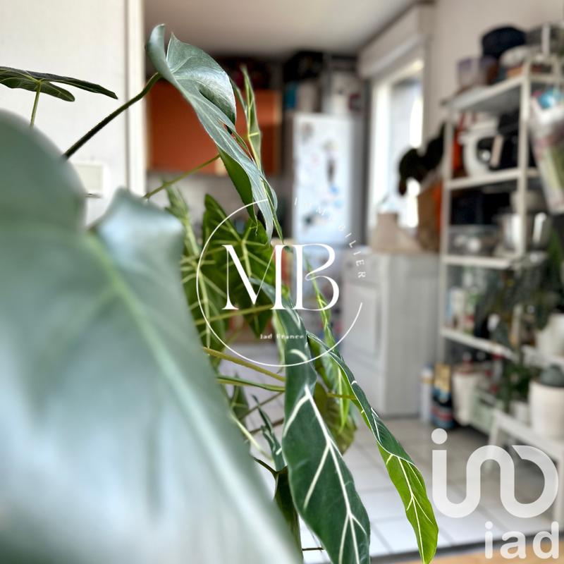 Appartement - 54 m² - 2 pièces