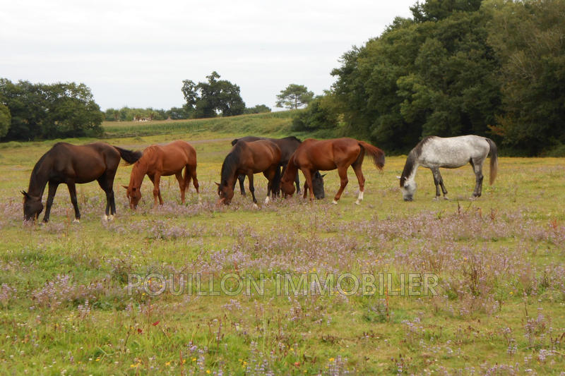 Maison - 241 m² - 8 pièces