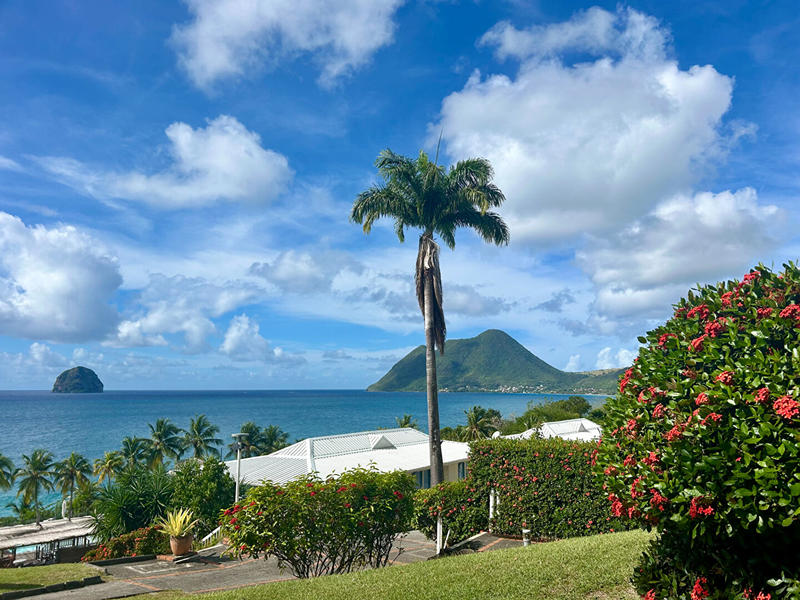 Appartement - 19 m² - 1 pièce