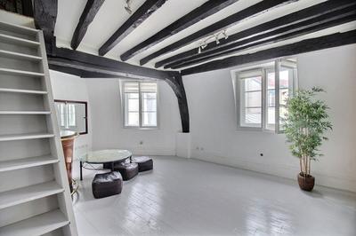 Duplex - 50 m² - 2 pièces