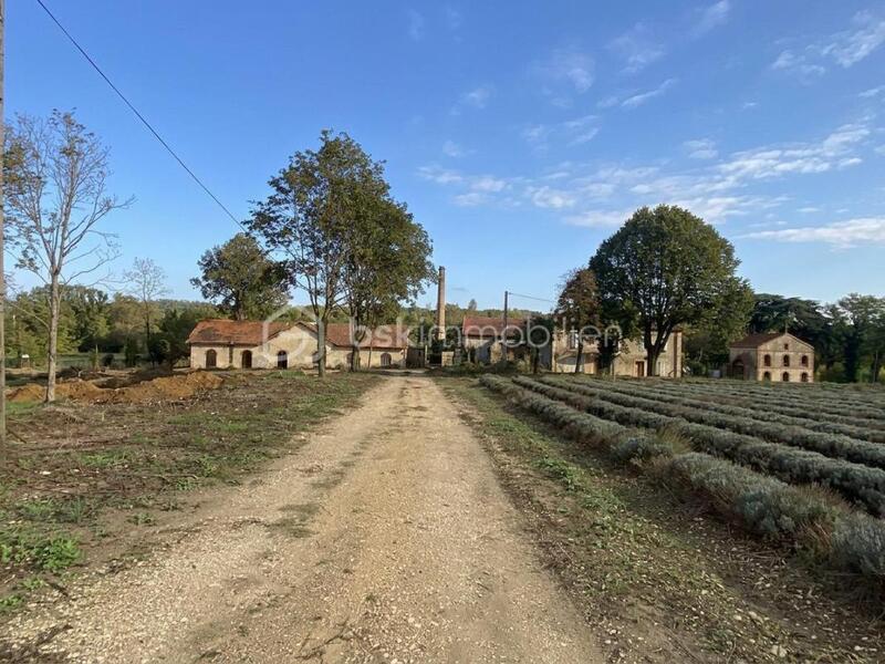 Bureau - 700 m² - 12 pièces