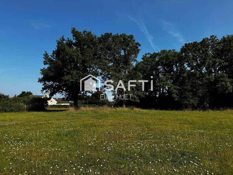 Terrain - 12 745 m²