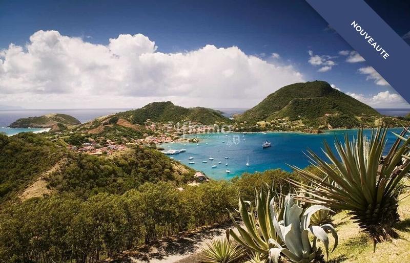 Hôtel particulier - 624 m² - 12 pièces