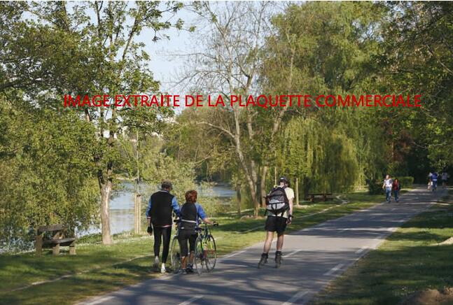 Appartement - 61 m² - 3 pièces