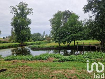 Terrain - 21 351 m²