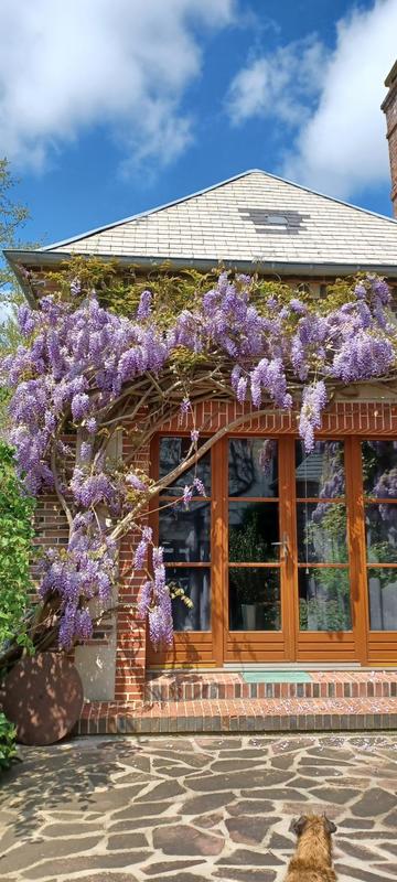 Maison - 262 m² - 12 pièces