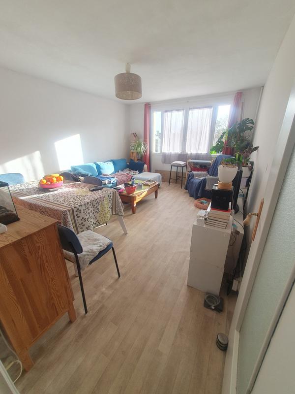 Appartement - 55 m² - 2 pièces