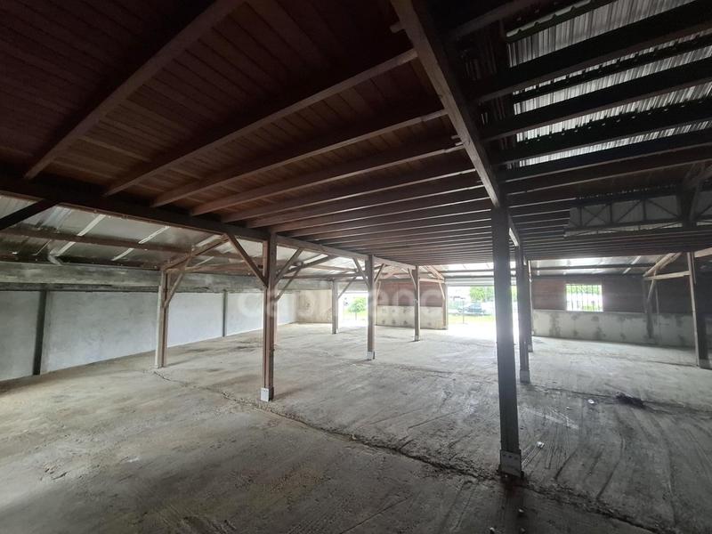 Bureau - 1 000 m² - 9 pièces