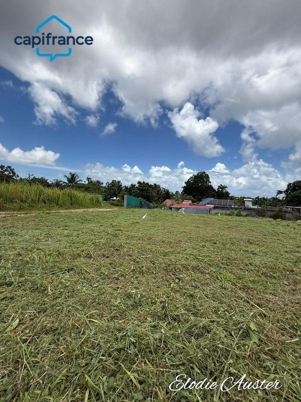 Terrain constructible - 646 m²