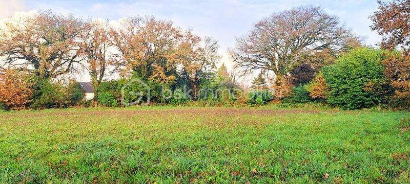 Maison en pierre - 98 m² - 4 pièces