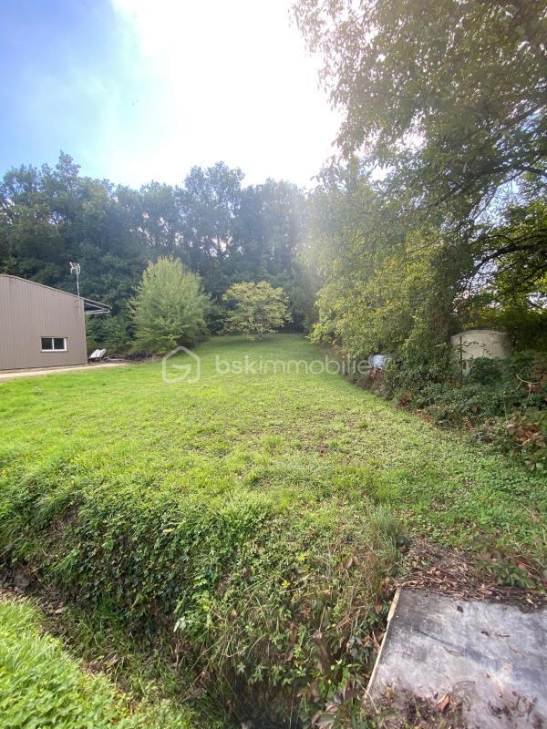 Terrain constructible - 1 007 m²