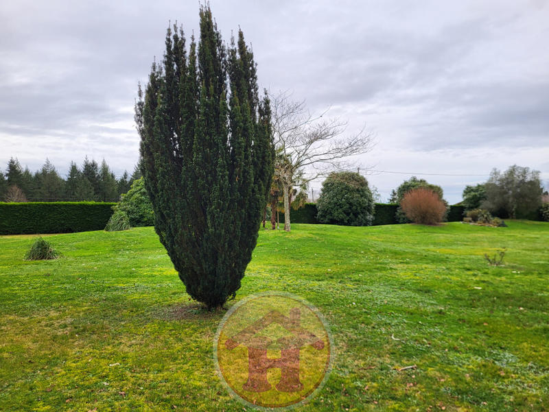 Maison - 208 m² - 5 pièces