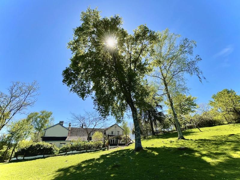 Demeure - 491 m² - 16 pièces