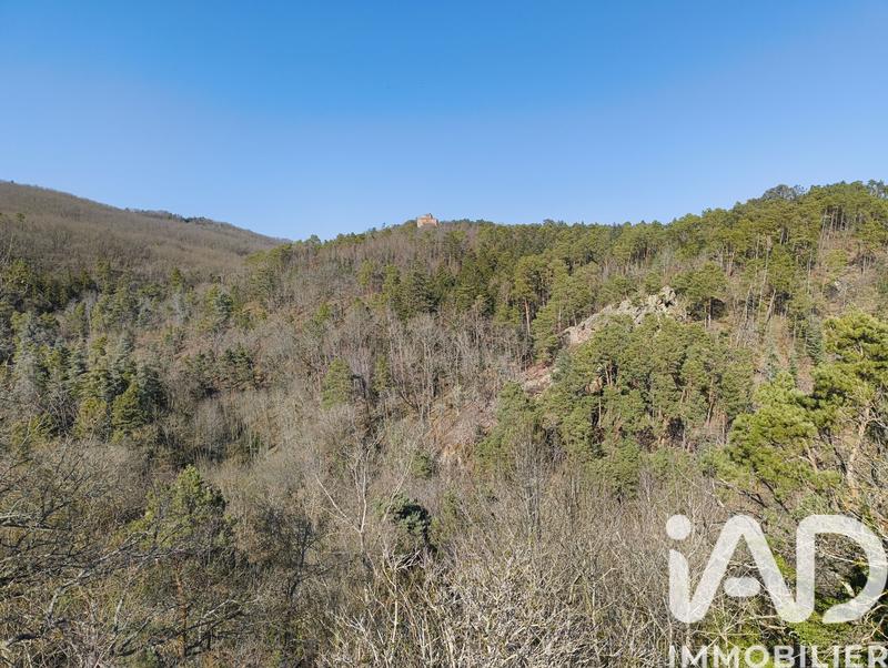 Maison - 134 m² - 6 pièces