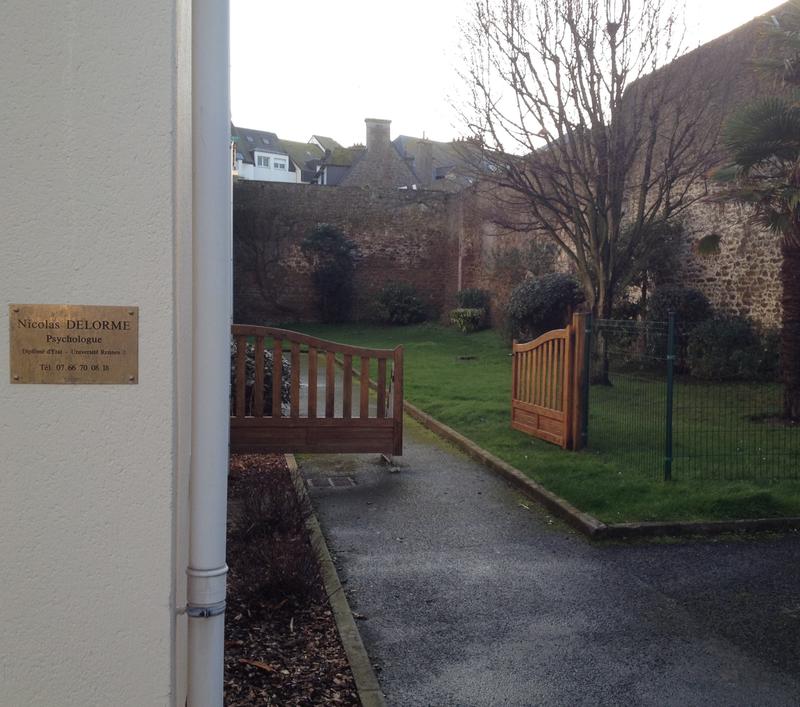 Nicolas Delorme psychologue clinicien