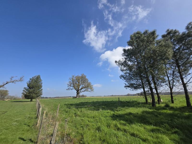 Maison - 160 m² - 8 pièces