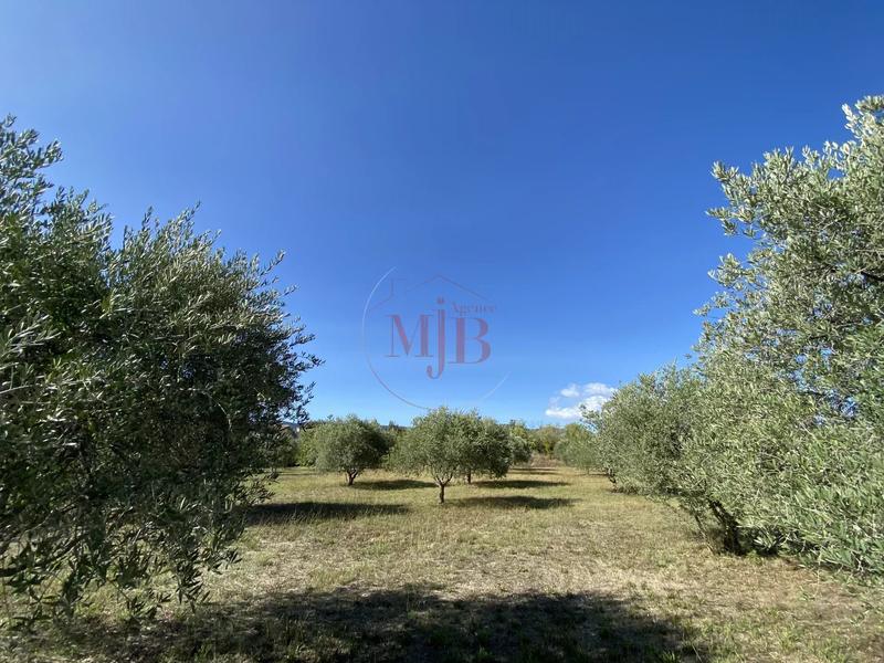 Propriété - 370 m² - 26 pièces