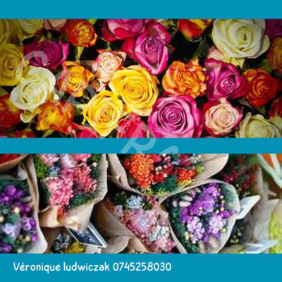 Fonds de commerce - Magasins - 171 m²