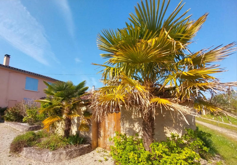 Maison - 165 m² - 5 pièces