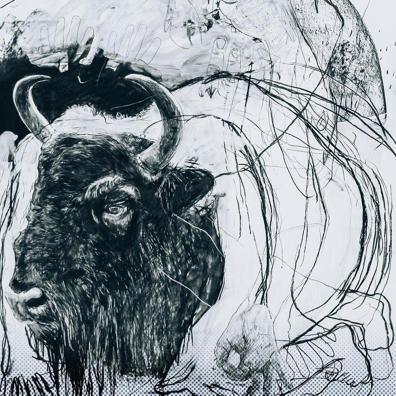 Métamorphose(s) : Exposition par Benjamin Bondonneau