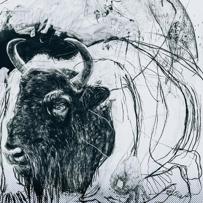 Métamorphose(s) : Exposition par Benjamin Bondonneau