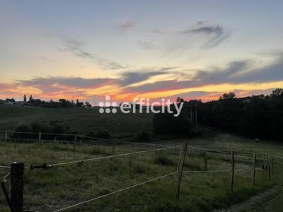 Maison de domaine équestre - 1 500 m²