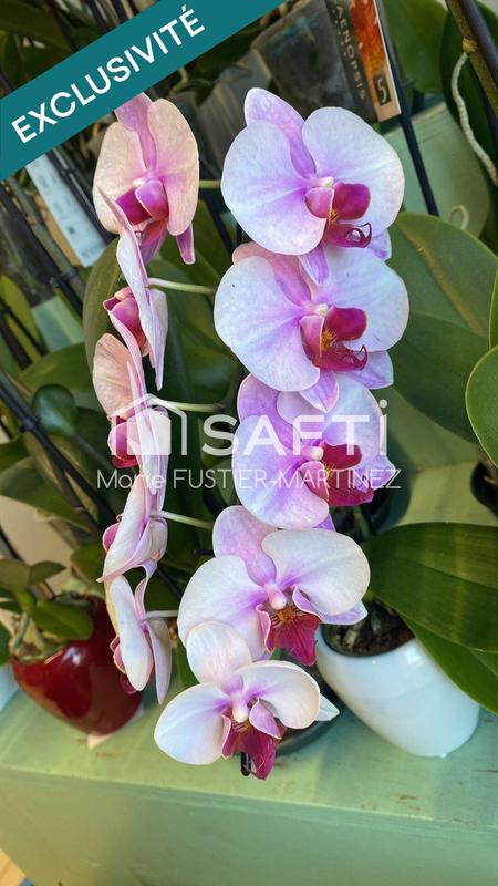 Local commercial - 51 m² - 1 pièce