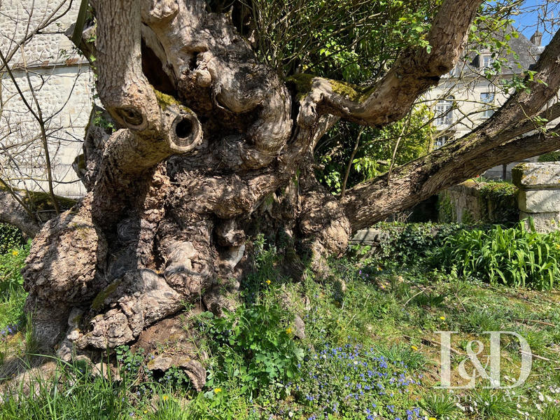 Château - 450 m² - 14 pièces