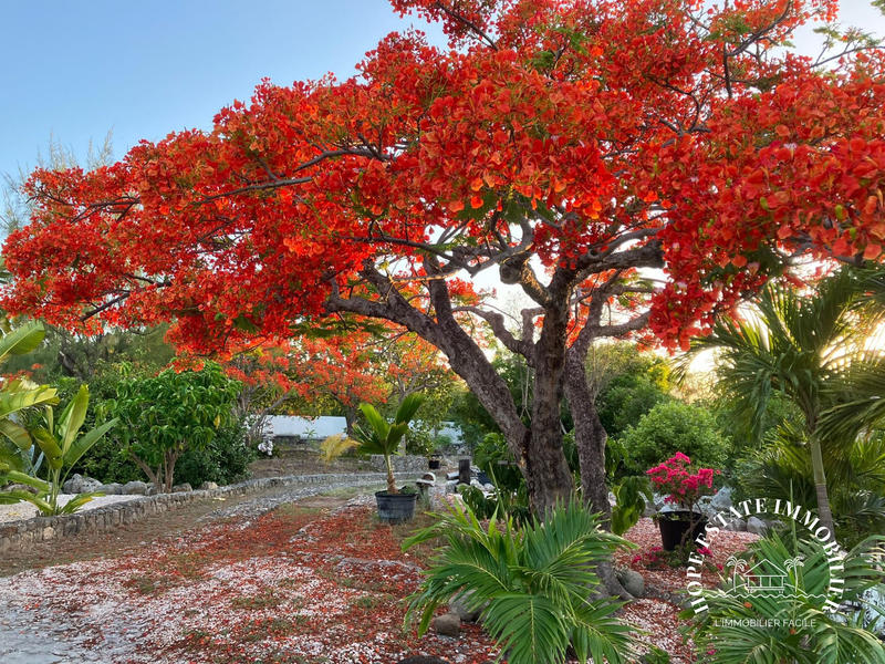 Villa - 465 m² - 10 pièces