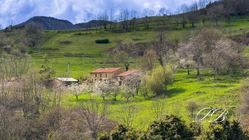 Maison - 153 m² - 7 pièces