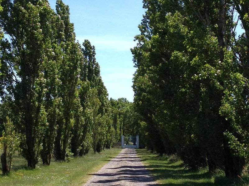 Propriété - 289 m² - 8 pièces