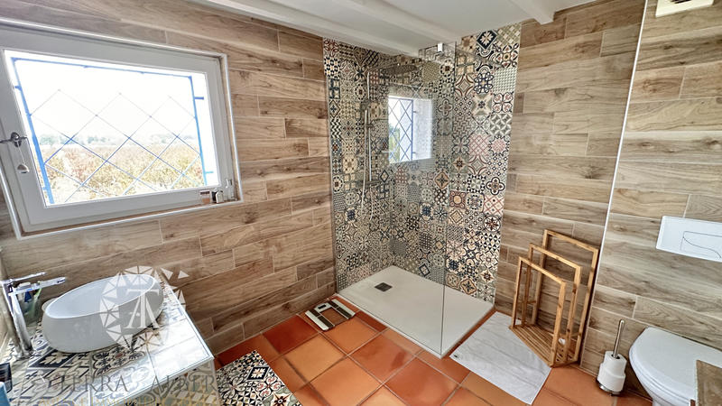 Mas - 298 m² - 5 pièces