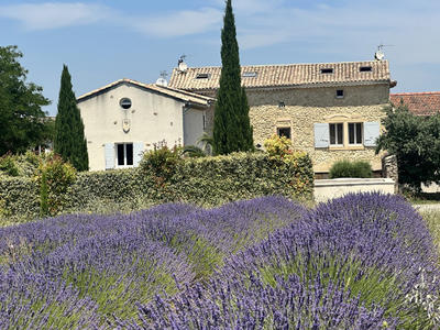 Mas - 589 m² - 40 pièces