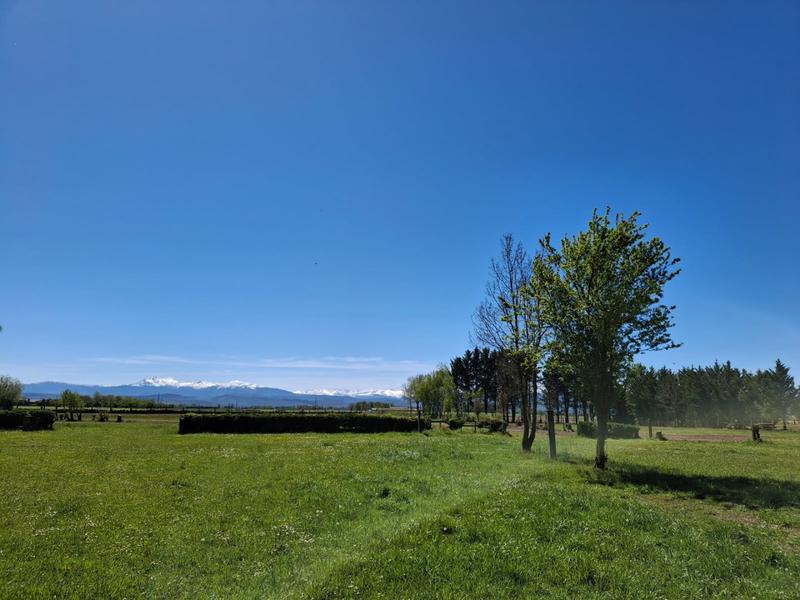 Haras - 340 m² - 10 pièces