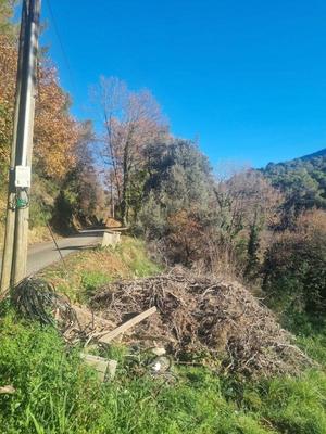 Terrain constructible - 2 920 m²