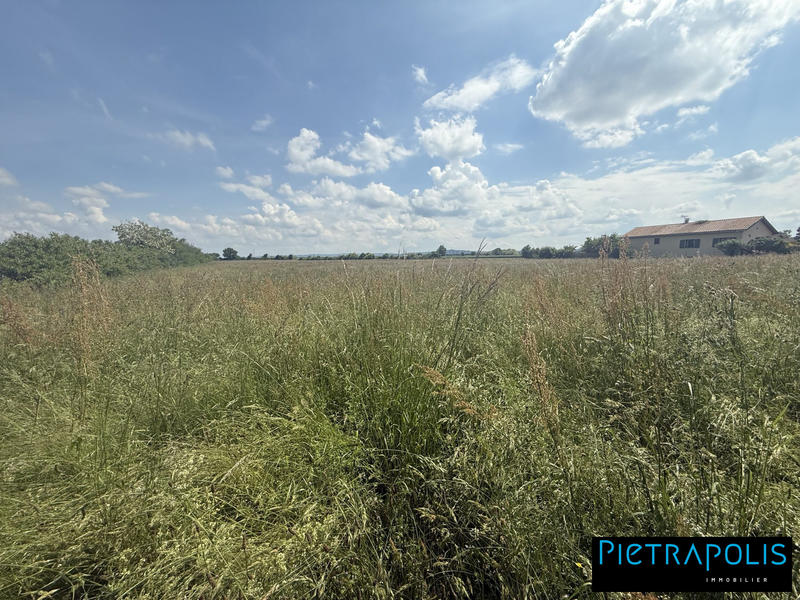 Terrain - 720 m²