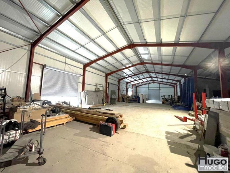 Local d'activité / Entrepôt - 14 200 m²