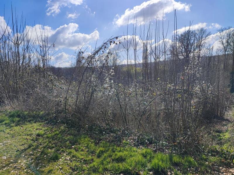 Terrain constructible - 1 992 m²