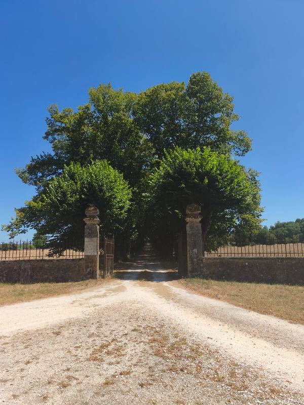 Château - 870 m² - 43 pièces