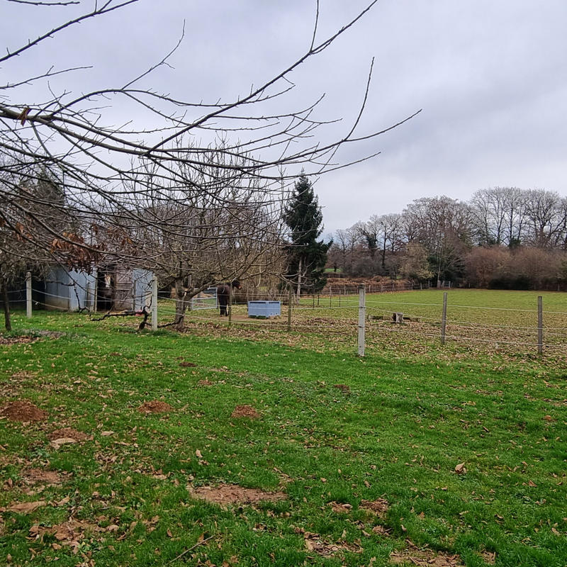 Maison - 165 m² - 6 pièces